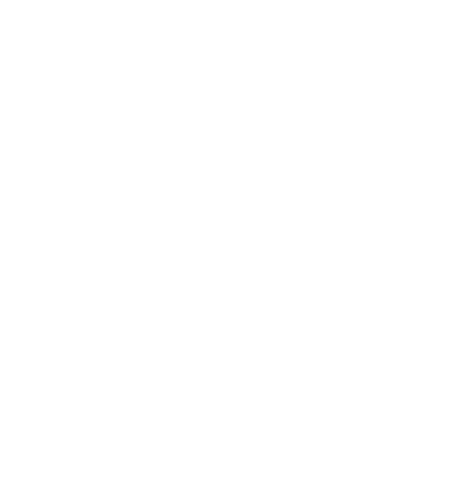 APAX Software Logo