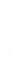 Peter Solomon Design Logo